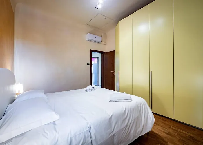 Yd Amaryllis Florence